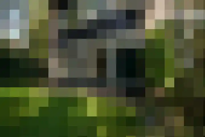 Beelaertslaan 51 Oosterbeek thumbnail 37