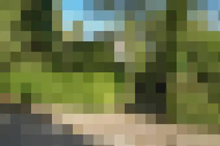 Beelaertslaan 51 Oosterbeek thumbnail 38