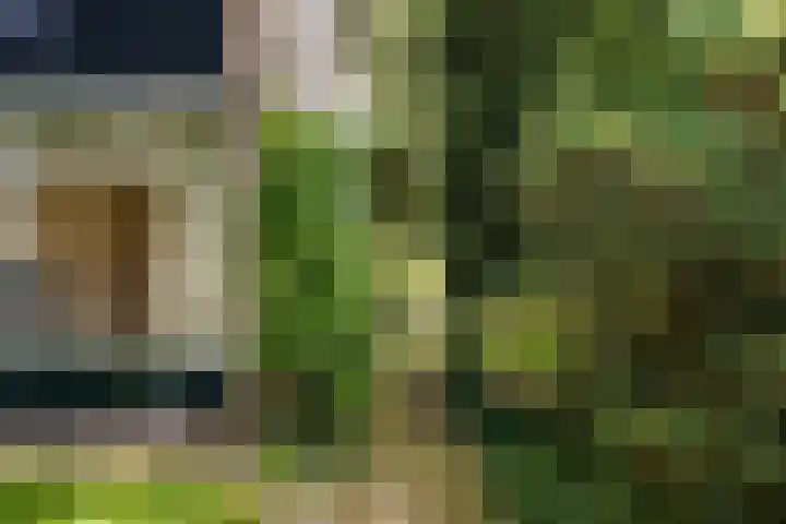 Beelaertslaan 51 Oosterbeek thumbnail 5