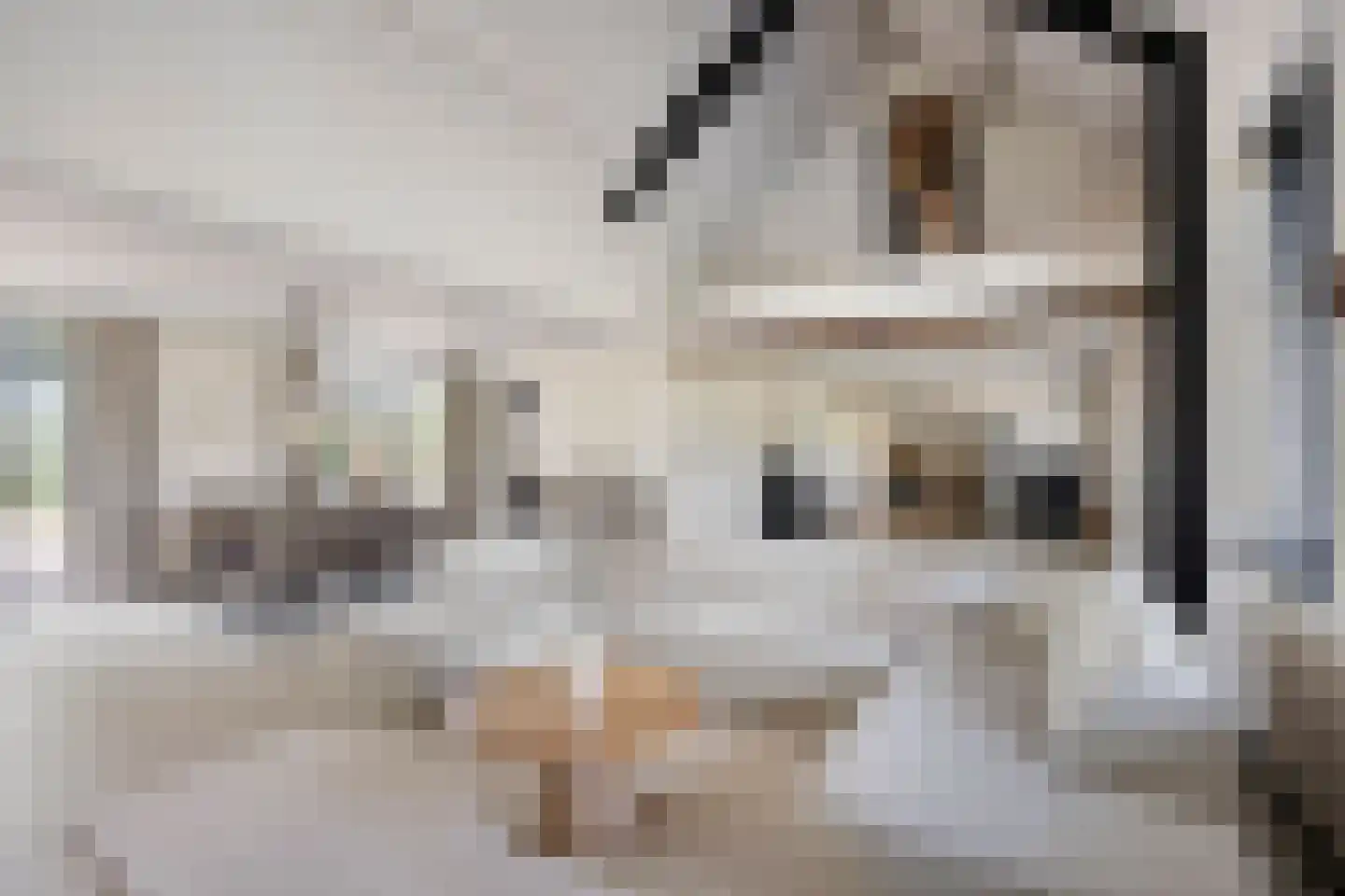 Beelaertsstraat 1 Obbicht thumbnail 24