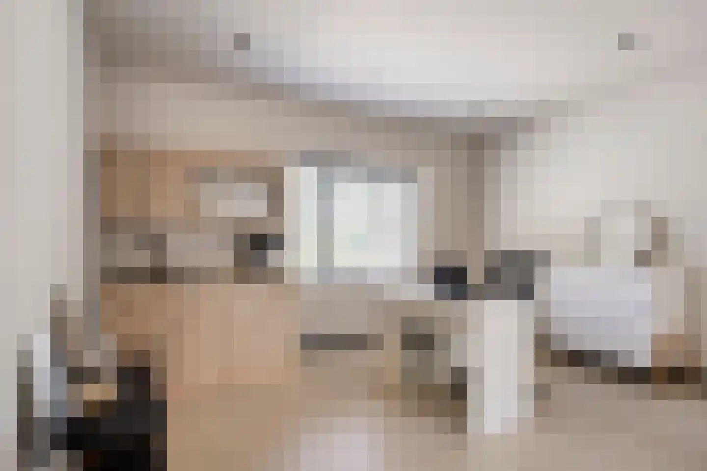 Beelaertsstraat 1 Obbicht thumbnail 28
