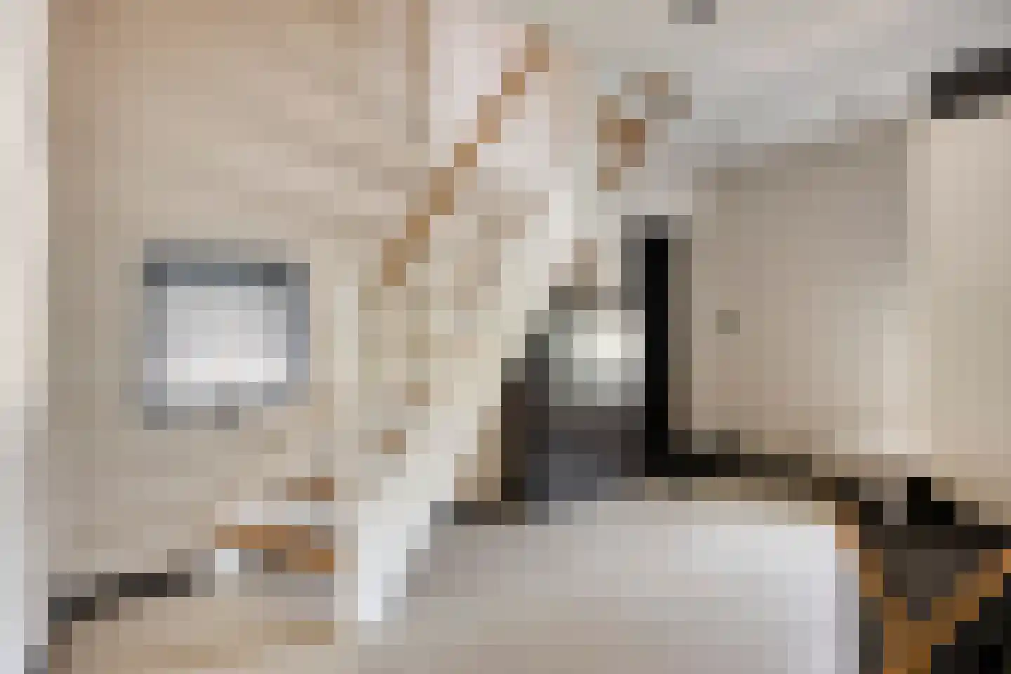 Beelaertsstraat 1 Obbicht thumbnail 34