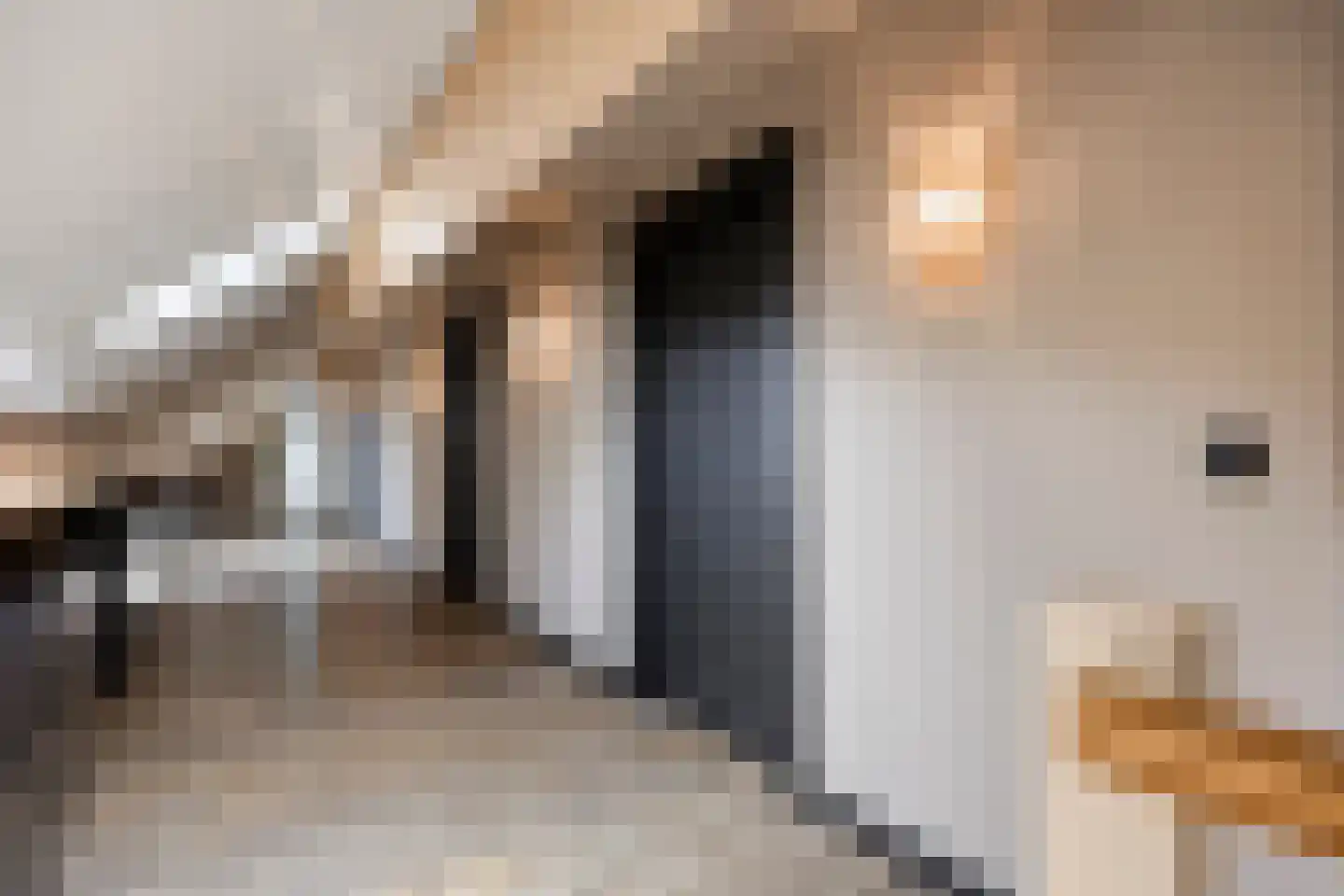 Beelaertsstraat 1 Obbicht thumbnail 36