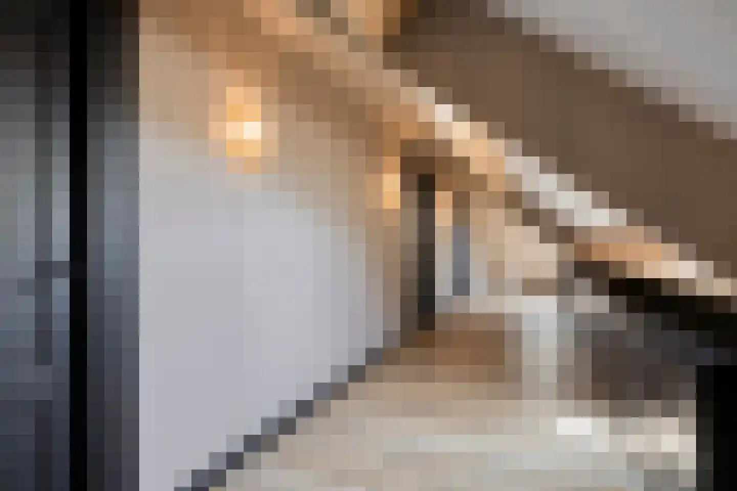 Beelaertsstraat 1 Obbicht thumbnail 37