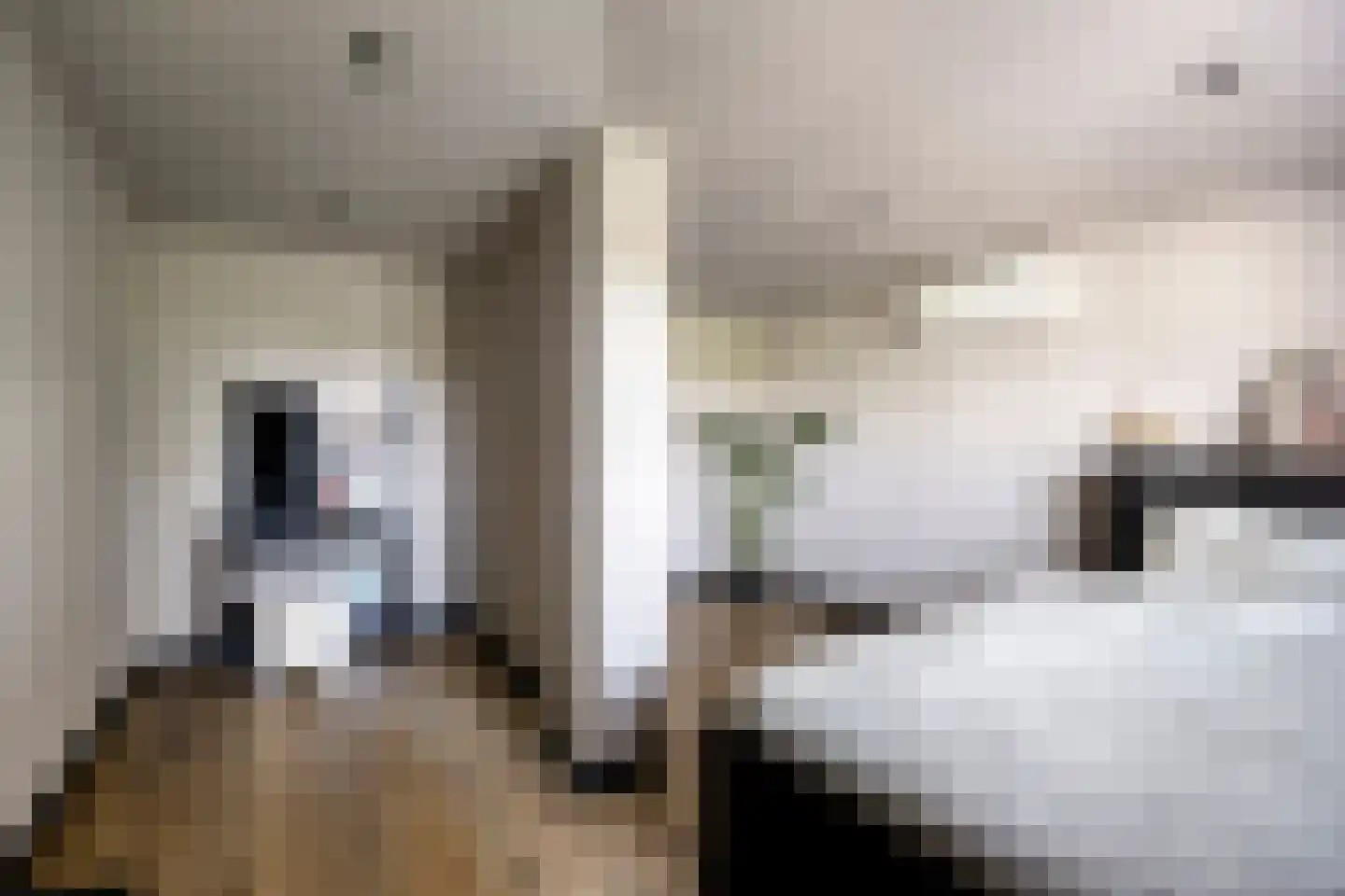 Beelaertsstraat 1 Obbicht thumbnail 41