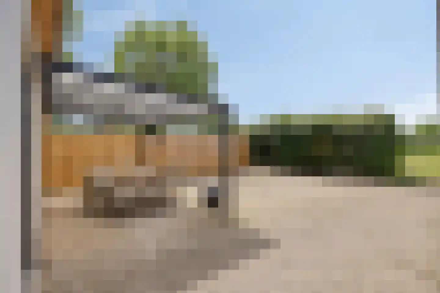 Beelaertsstraat 1 Obbicht thumbnail 52