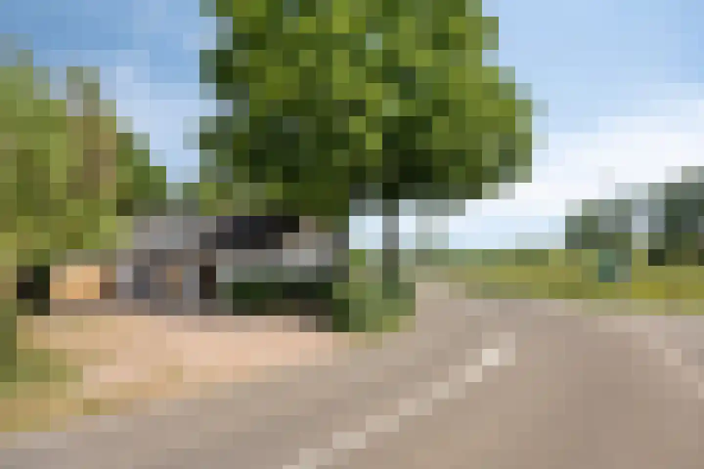 Beelaertsstraat 1 Obbicht thumbnail 9