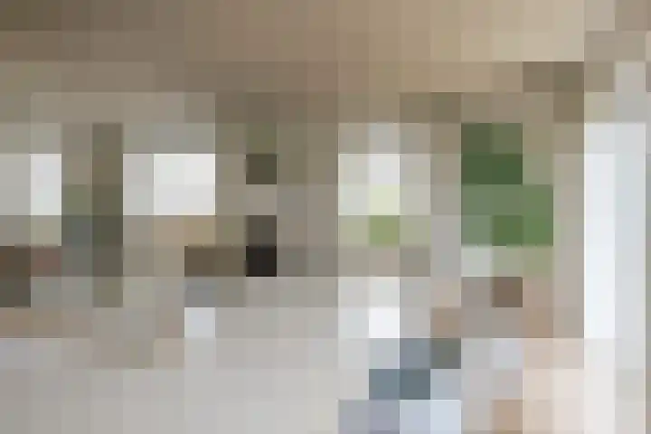 Beelaertsstraat 21 Obbicht thumbnail 10