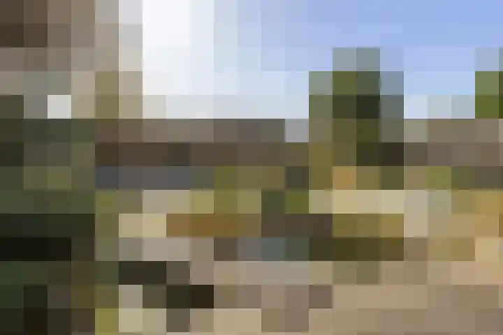 Beelaertsstraat 21 Obbicht thumbnail 17
