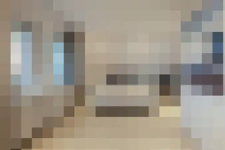 Beelaertsstraat 21 Obbicht thumbnail 21