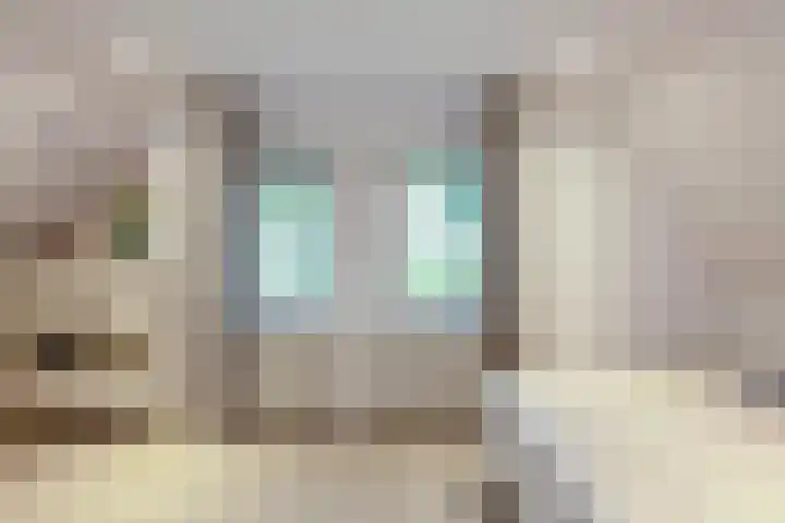 Beelaertsstraat 21 Obbicht thumbnail 23
