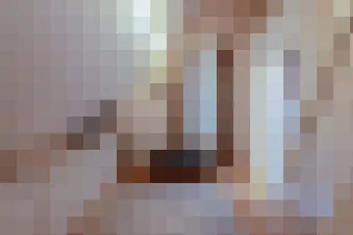 Beelaertsstraat 21 Obbicht thumbnail 25