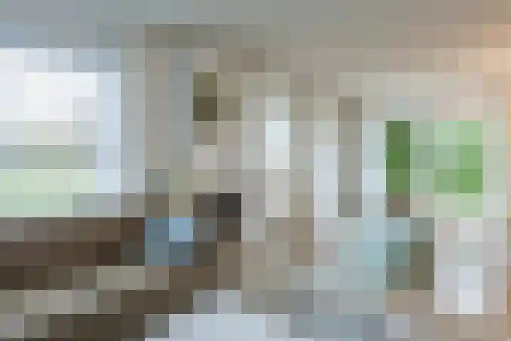 Beelaertsstraat 21 Obbicht thumbnail 7