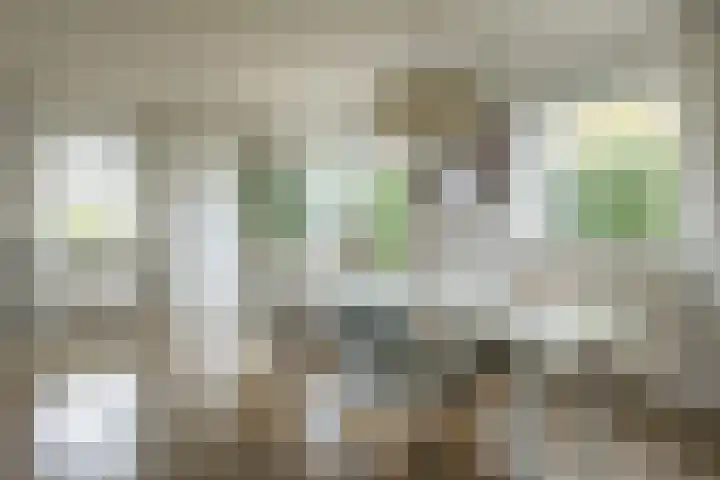 Beelaertsstraat 21 Obbicht thumbnail 8