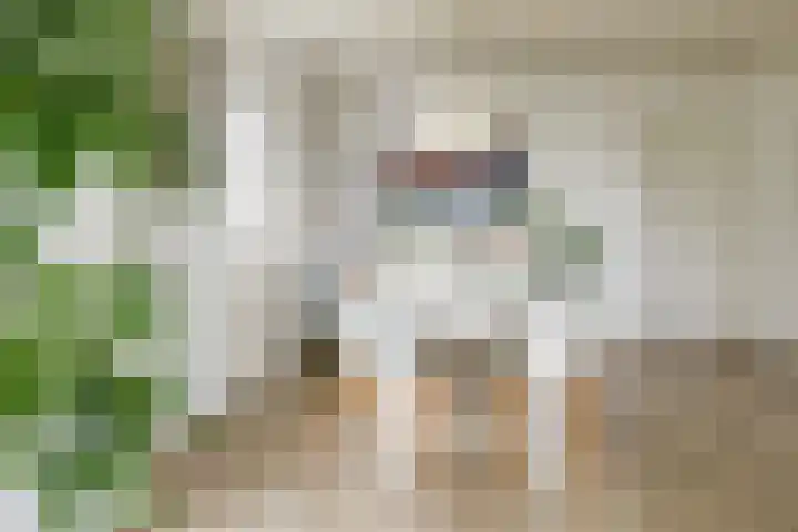 Beelaertsstraat 21 Obbicht thumbnail 9