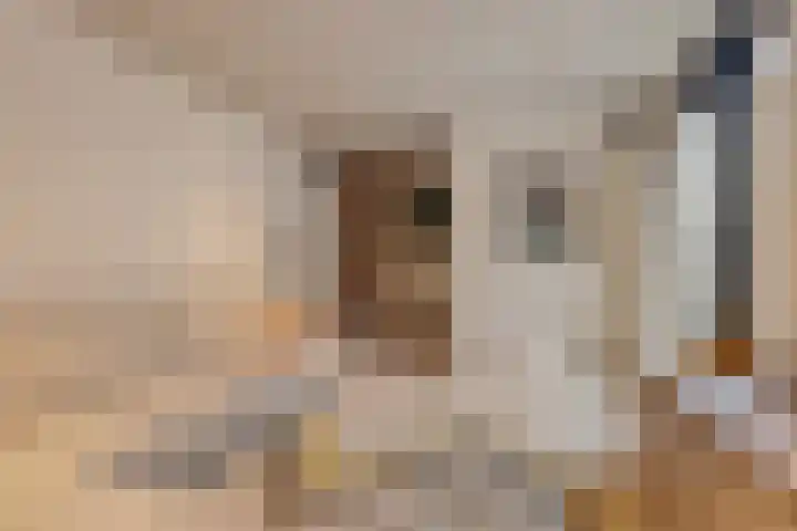 Beeldbuisring 20 Eindhoven thumbnail 13