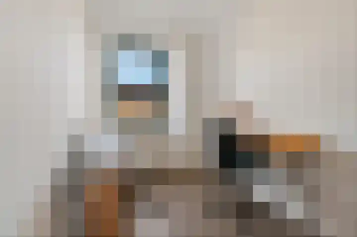 Beeldentuin 10 De Goorn thumbnail 11