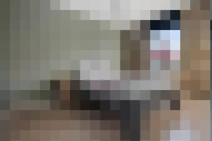 Beeldentuin 10 De Goorn thumbnail 14