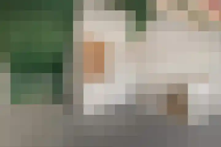 Beeldentuin 10 De Goorn thumbnail 23