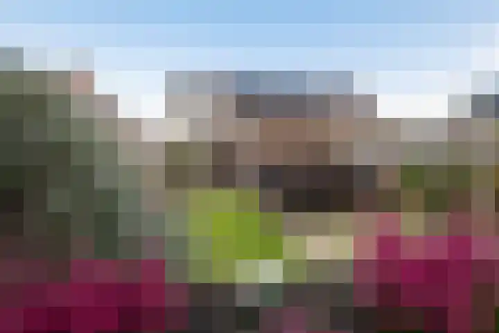 Beeldentuin 10 De Goorn thumbnail 24
