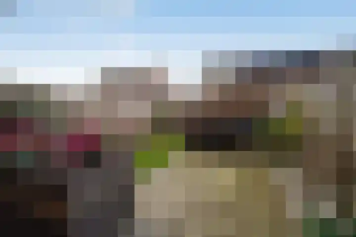 Beeldentuin 10 De Goorn thumbnail 25