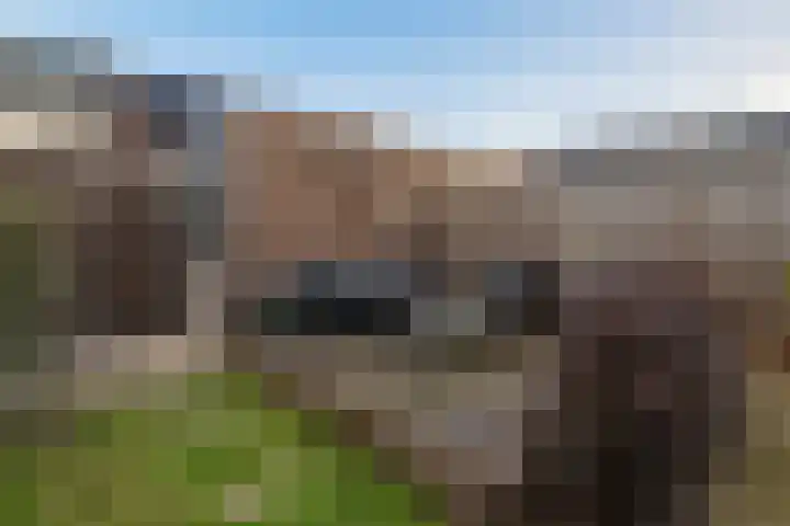 Beeldentuin 10 De Goorn thumbnail 27