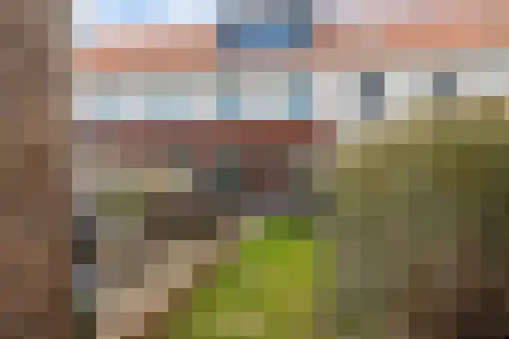 Beeldentuin 10 De Goorn thumbnail 28