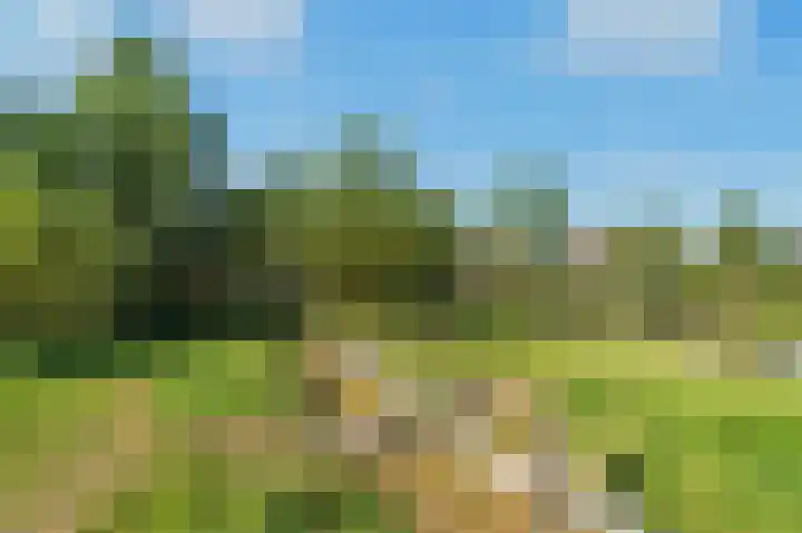 Beeldentuin 10 De Goorn thumbnail 34