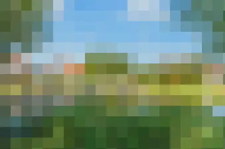 Beeldentuin 10 De Goorn thumbnail 35