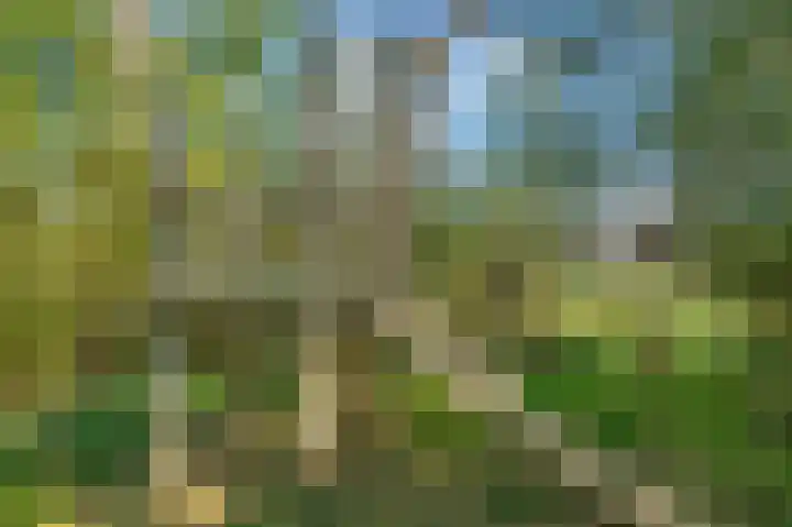 Beeldentuin 10 De Goorn thumbnail 36