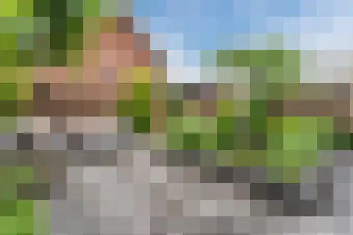 Beeldentuinlaan 79 Vleuten thumbnail 11