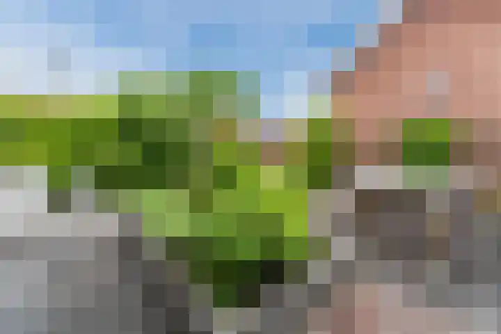 Beeldentuinlaan 79 Vleuten thumbnail 13