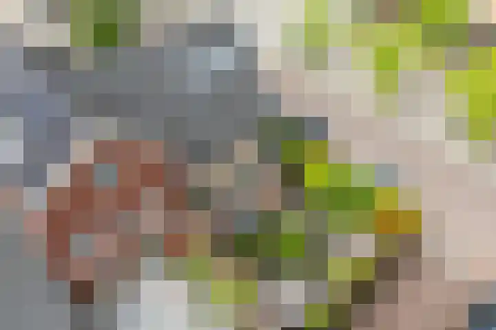 Beeldentuinlaan 79 Vleuten thumbnail 19