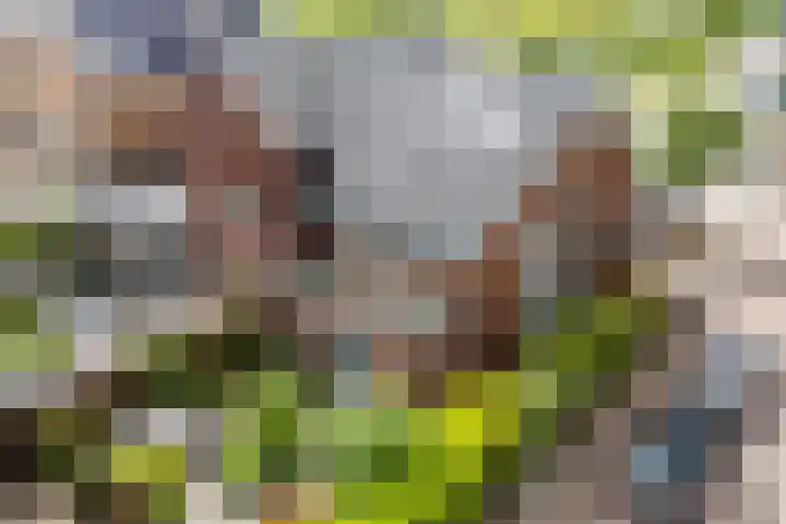Beeldentuinlaan 79 Vleuten thumbnail 20