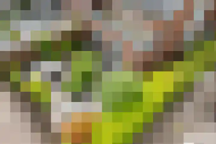 Beeldentuinlaan 79 Vleuten thumbnail 21