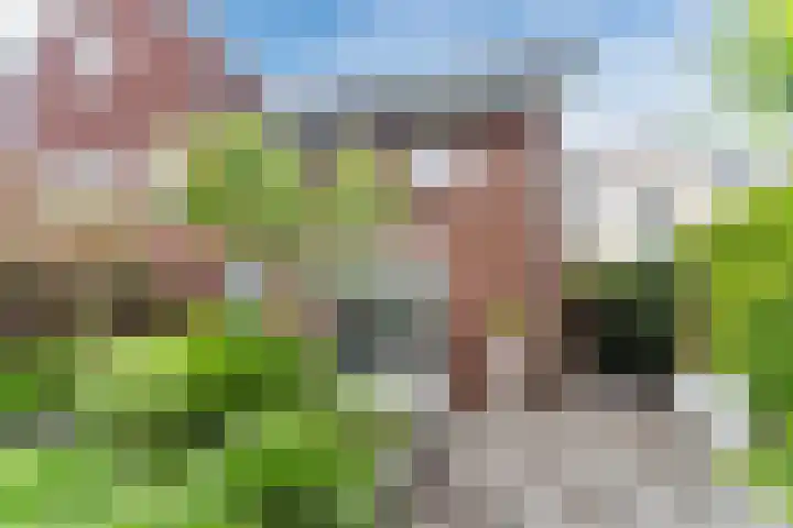 Beeldentuinlaan 79 Vleuten thumbnail 24