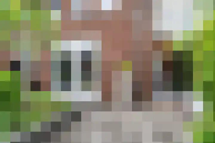 Beeldentuinlaan 79 Vleuten thumbnail 29