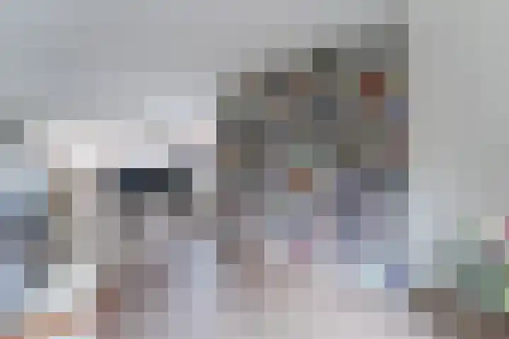 Beeldentuinlaan 79 Vleuten thumbnail 32