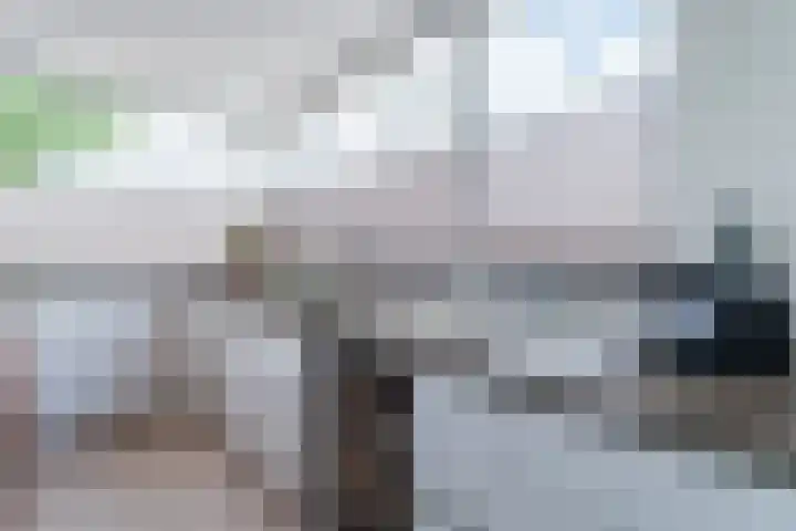 Beeldentuinlaan 79 Vleuten thumbnail 35