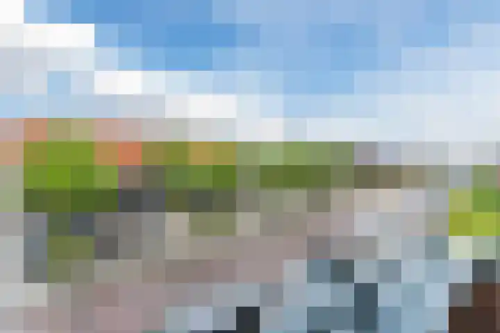 Beeldentuinlaan 79 Vleuten thumbnail 44