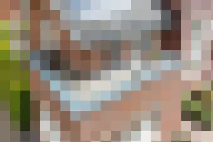Beeldentuinlaan 79 Vleuten thumbnail 46