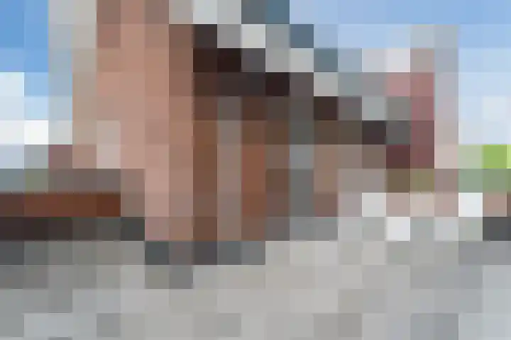 Beeldentuinlaan 79 Vleuten thumbnail 47