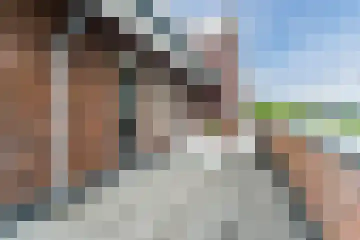 Beeldentuinlaan 79 Vleuten thumbnail 48