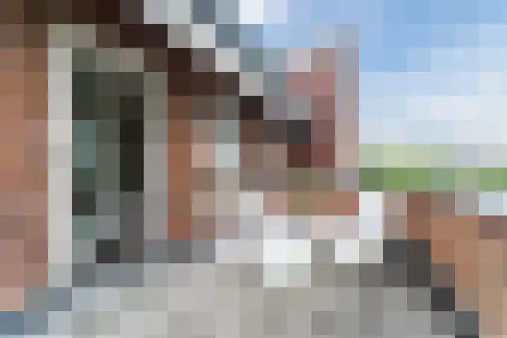 Beeldentuinlaan 79 Vleuten thumbnail 49