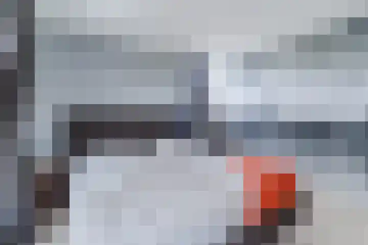 Beeldentuinlaan 79 Vleuten thumbnail 50
