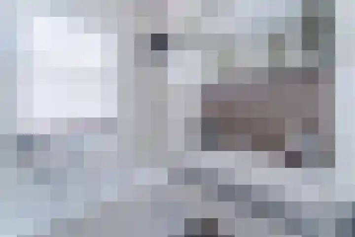 Beeldentuinlaan 79 Vleuten thumbnail 54
