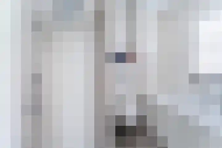 Beeldentuinlaan 79 Vleuten thumbnail 56