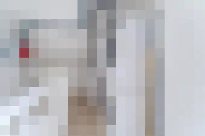 Beeldentuinlaan 79 Vleuten thumbnail 61