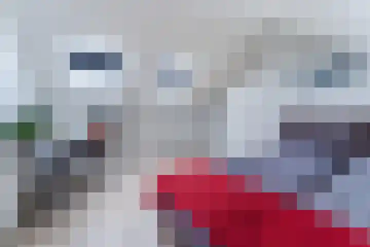 Beeldentuinlaan 79 Vleuten thumbnail 65