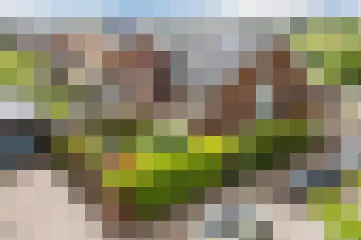 Beeldentuinlaan 79 Vleuten thumbnail 70